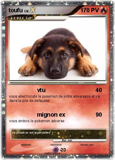 Pokemon toufu