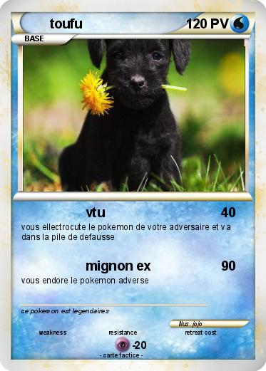 Pokemon toufu