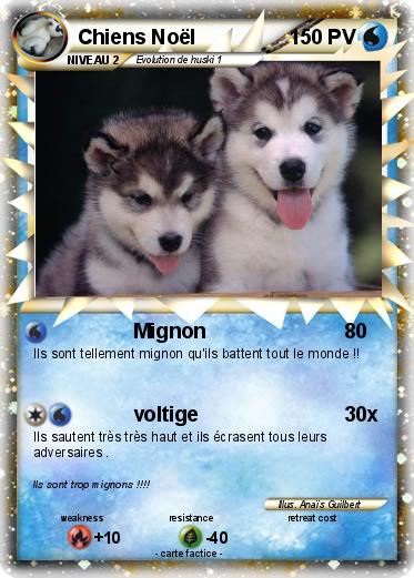 Pokemon Chiens Noël