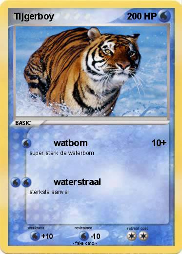 Pokemon Tijgerboy