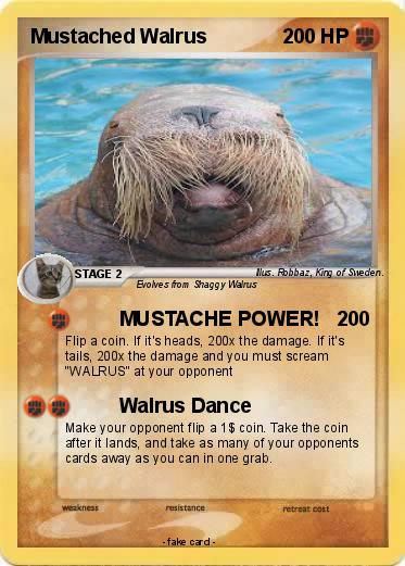 Pokemon Mustached Walrus