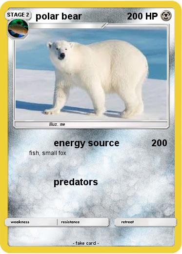 Pokemon polar bear