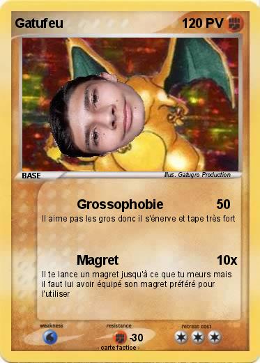 Pokemon Gatufeu
