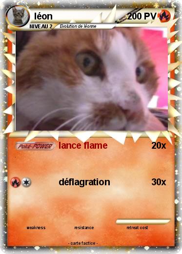Pokemon léon