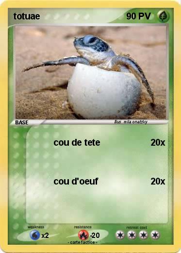 Pokemon totuae