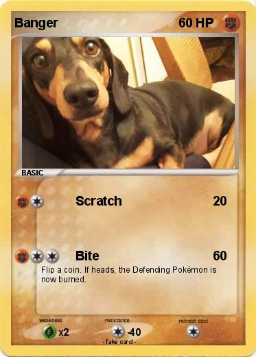 Pokemon Banger
