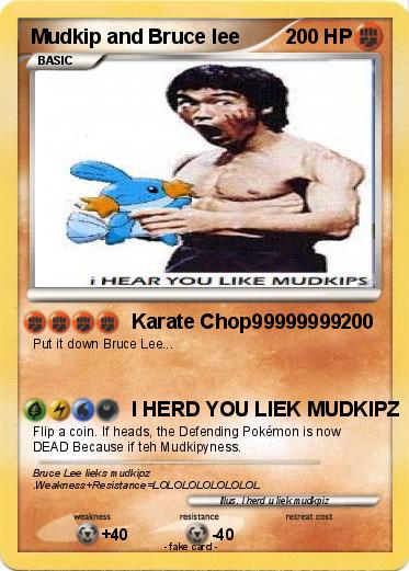 Pokemon Mudkip and Bruce lee