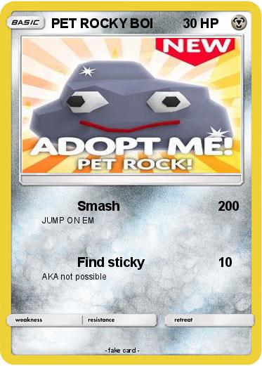 Pokemon PET ROCKY BOI