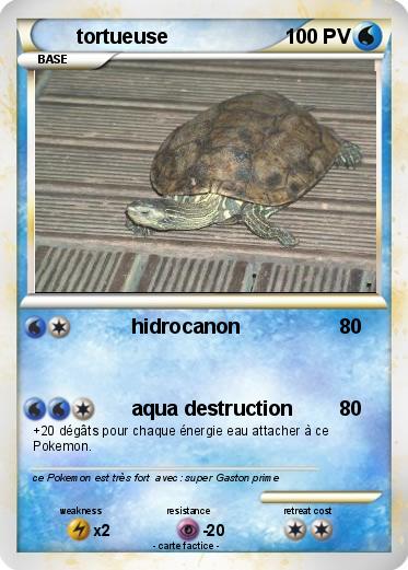 Pokemon tortueuse