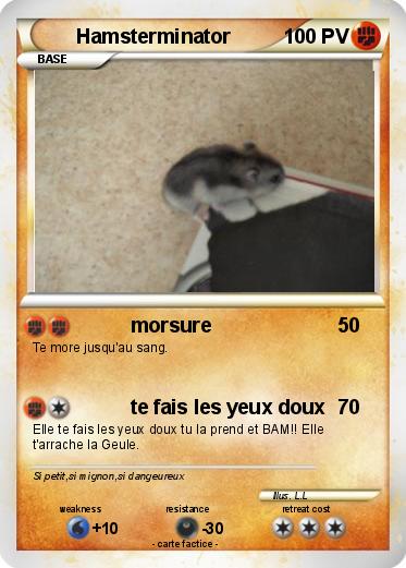 Pokemon Hamsterminator