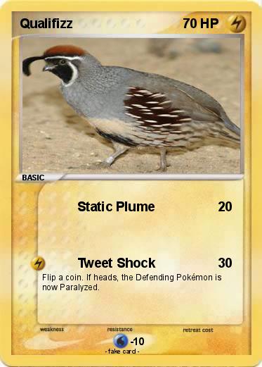 Pokemon Qualifizz