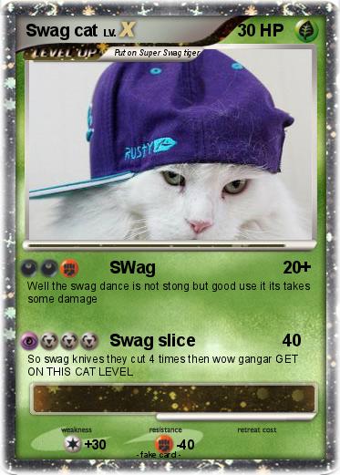 Pokemon Swag cat