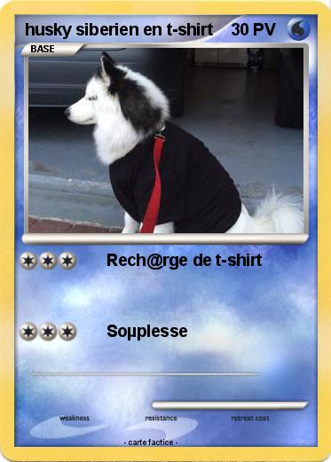 Pokemon husky siberien en t-shirt