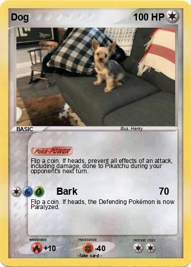 Pokemon Dog
