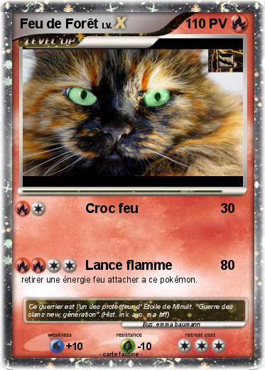 Pokemon Feu de Forêt