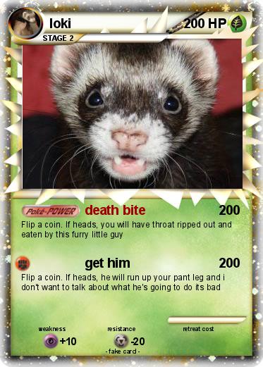 Pokemon loki