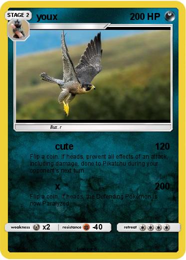 Pokemon youx