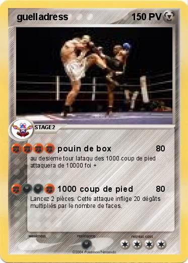 Pokemon  guelladress