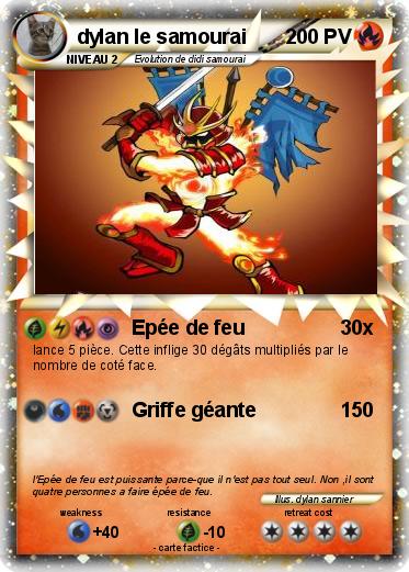 Pokemon dylan le samourai