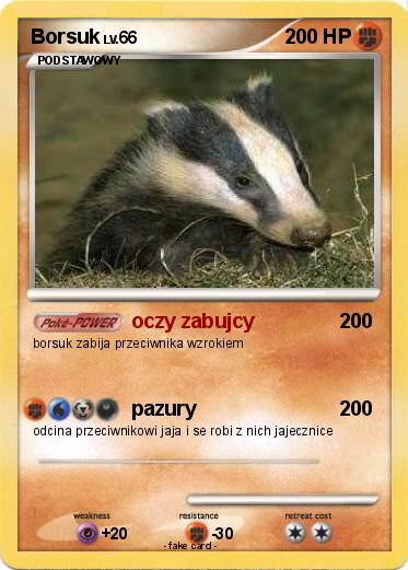 Pokemon Borsuk