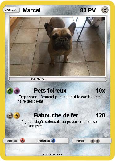 Pokemon Marcel
