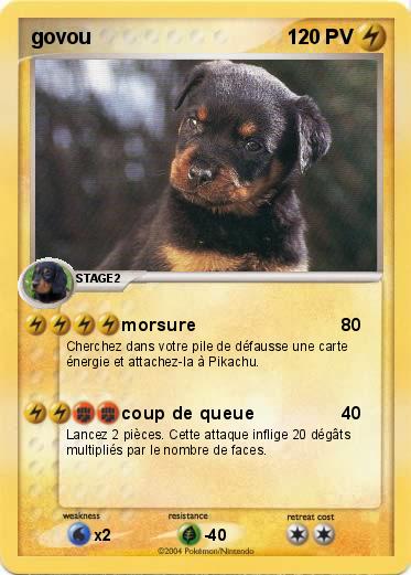 Pokemon govou