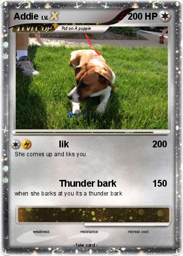 Pokemon Addie