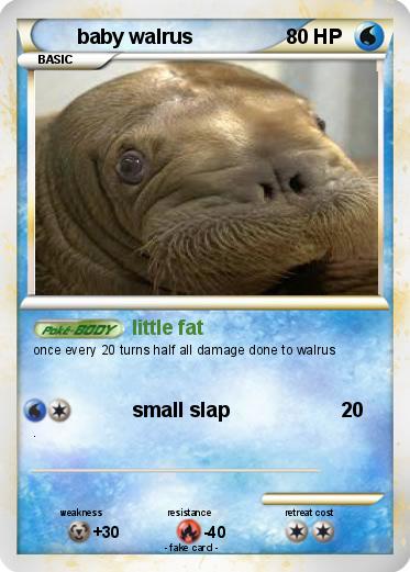 Pokemon baby walrus