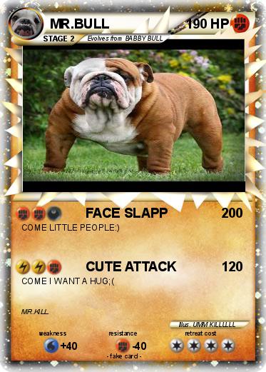 Pokemon MR.BULL
