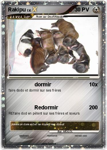 Pokemon Rakipu