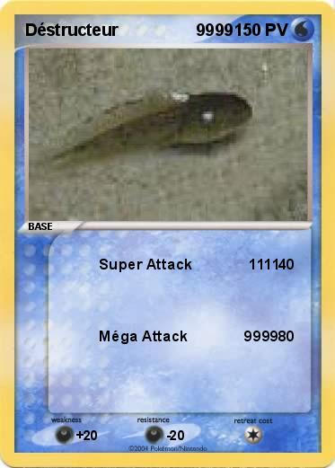 Pokemon Déstructeur                 9999