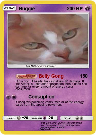 Pokemon Nuggie