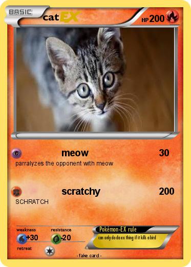 Pokemon cat