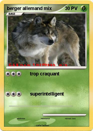 Pokemon berger allemand mix