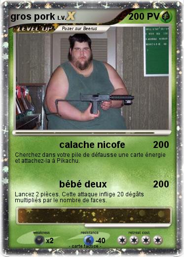 Pokemon gros pork