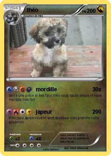 Pokemon théo