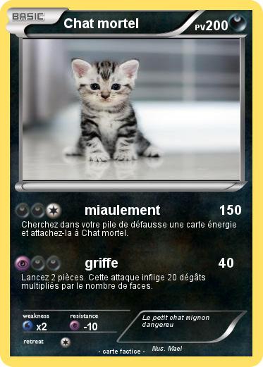 Pokemon Chat mortel