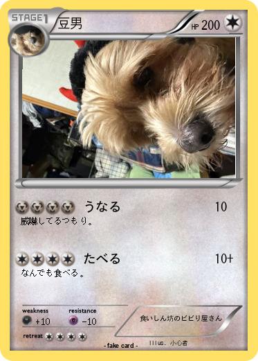 Pokemon 豆男