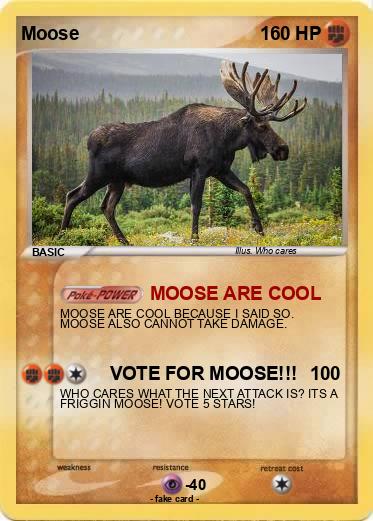 Pokemon Moose