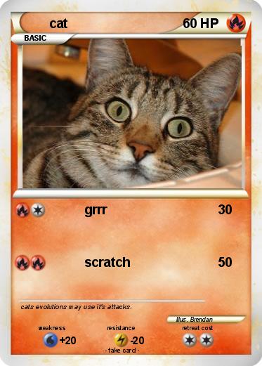 Pokemon cat
