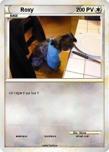 Pokemon Roxy