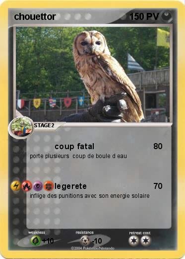 Pokemon chouettor