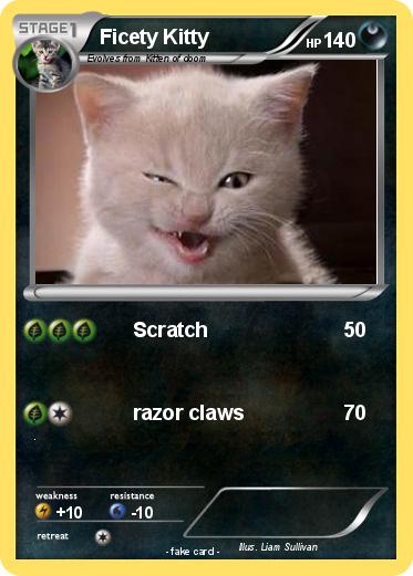 Pokemon Ficety Kitty