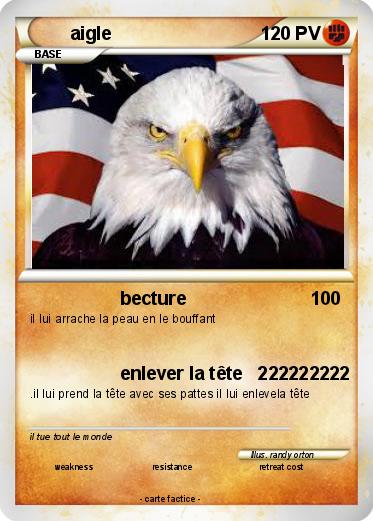 Pokemon aigle