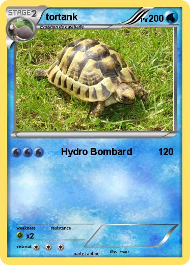 Pokemon tortank