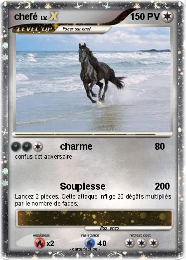 Pokemon chefé