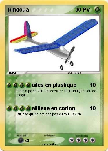 Pokemon bindoua