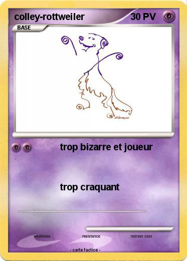 Pokemon colley-rottweiler