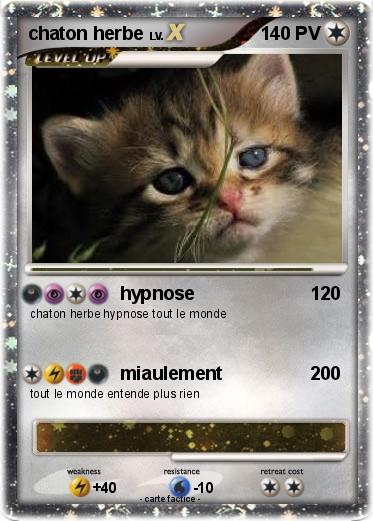 Pokemon chaton herbe