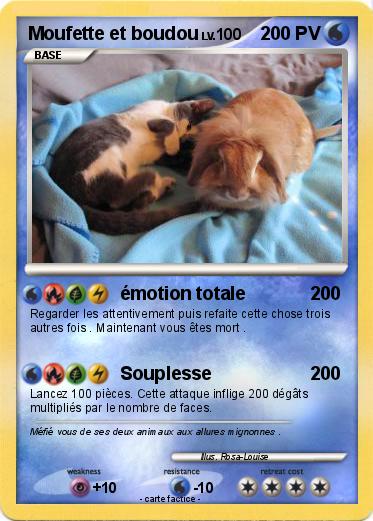 Pokemon Moufette et boudou